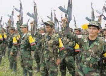 Las Inversiones Extranjeras de las FARC
