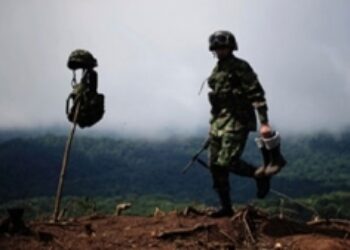 ¿Están las FARC Cultivando Coca en Panamá?