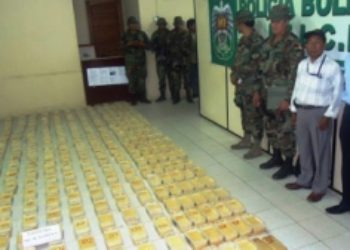 Incautaciones de Cocaína en Bolivia se Reducen un 52% en 2013