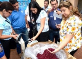 Incautación de medicamentos falsos en Paraguay es una pequeña victoria