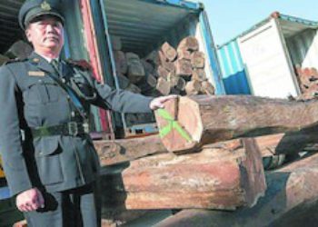 Hong Kong incauta envío récord de madera hondureña