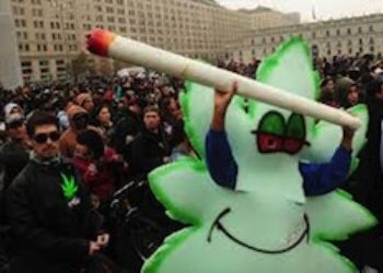 Chile avanza en la reforma al consumo de marihuana
