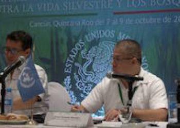 México busca nueva estrategia para combatir crímenes ambientales