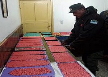 Microtráfico y nuevas rutas de droga aumentan en Argentina