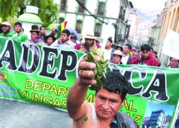 Cocaleros de Bolivia se enfrentan por los cultivos legales