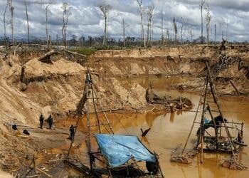 Alza en precios del oro durante la pandemia atiza minería ilegal en Perú
